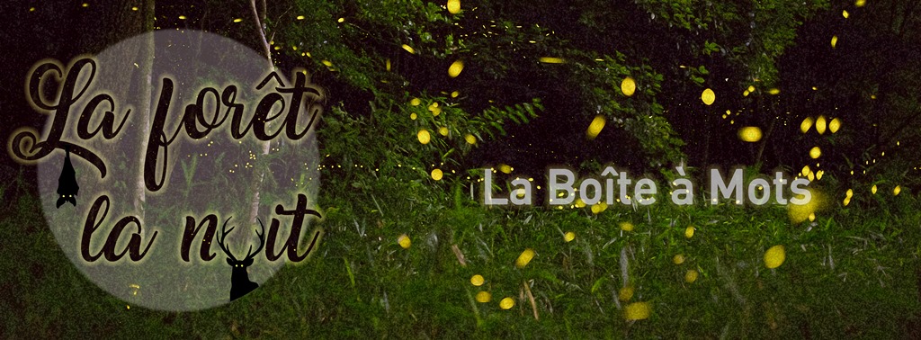 Bandeau La Forêt, La Nuit